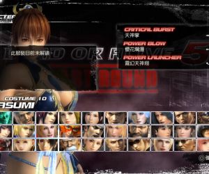 【5.05】PS4《死或生5：最后一战(Dead Or Alive 5：Last Round)》CUSA01207[5.05]港服日版中文PKG【含V1.19补丁整合+1010DLC】