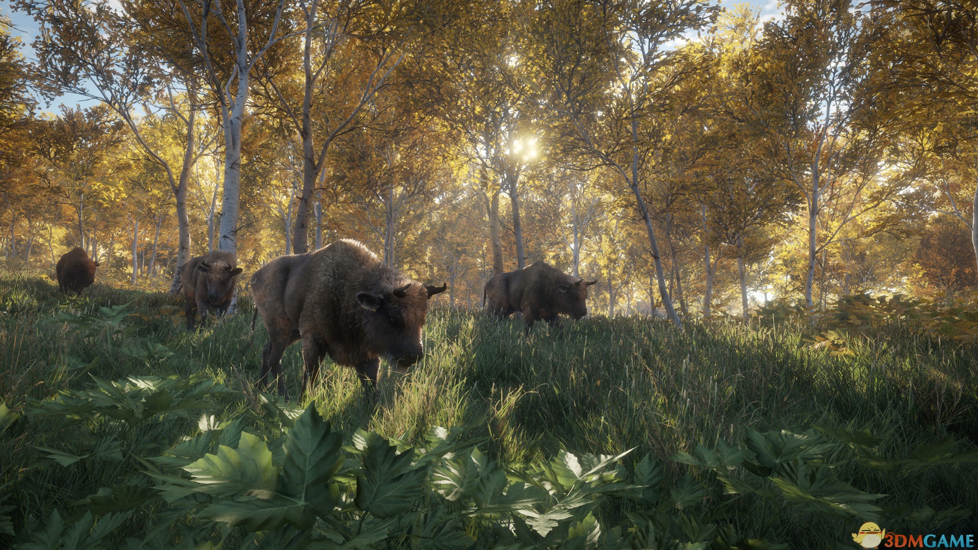 《猎人：荒野的呼唤（theHunter: Call of the Wild）》官方中文 集成DLCs TENOKE镜像版[CN/EN]-3.jpg