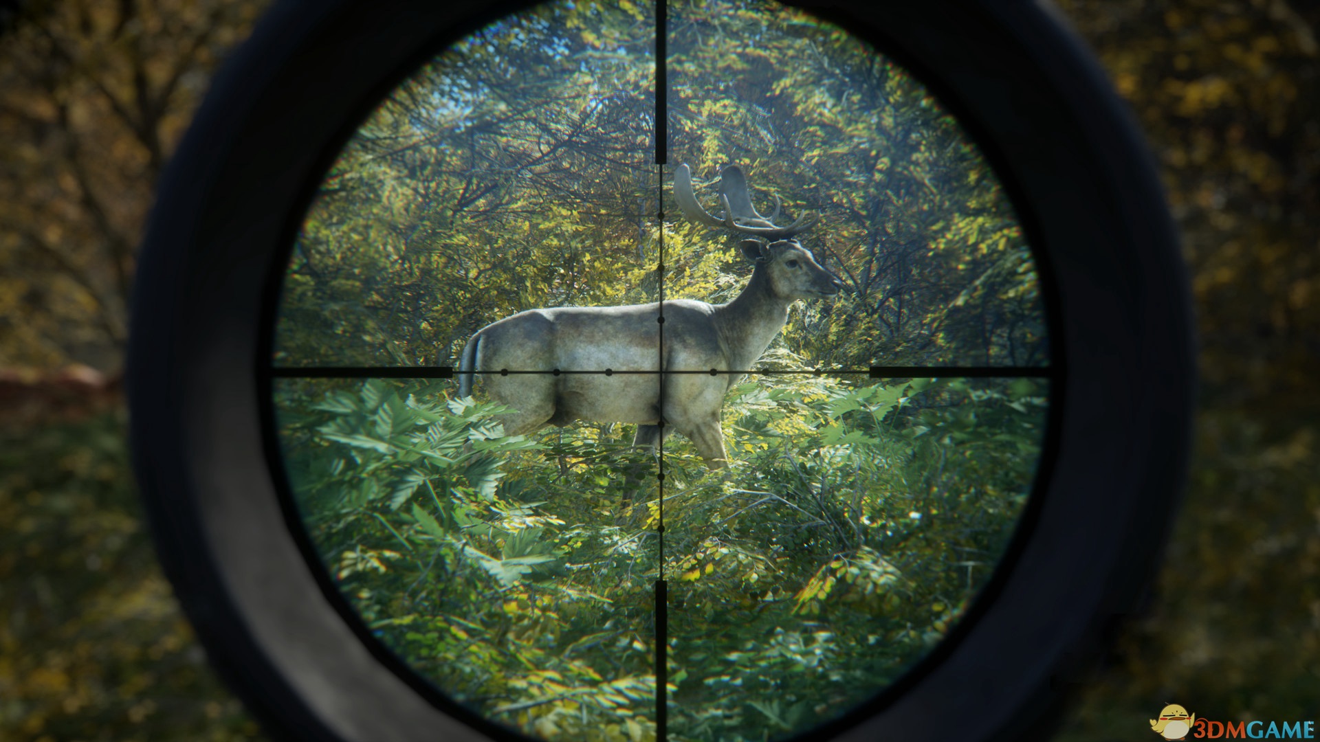 《猎人：荒野的呼唤（theHunter: Call of the Wild）》官方中文 集成DLCs TENOKE镜像版[CN/EN]-2.jpg