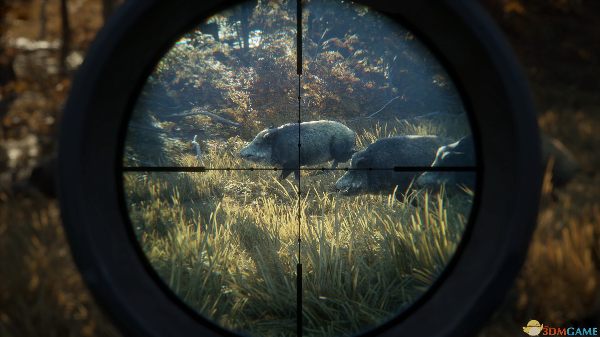 《猎人：荒野的呼唤（theHunter: Call of the Wild）》官方中文 集成DLCs TENOKE镜像版[CN/EN]-7.jpg