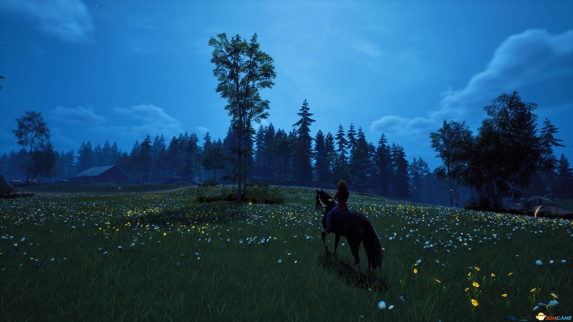 《风暴：深厚友谊的开始 重制版（Windstorm: Start of Great Friendship）》TENOKE镜像版[CN/EN]-3.jpg