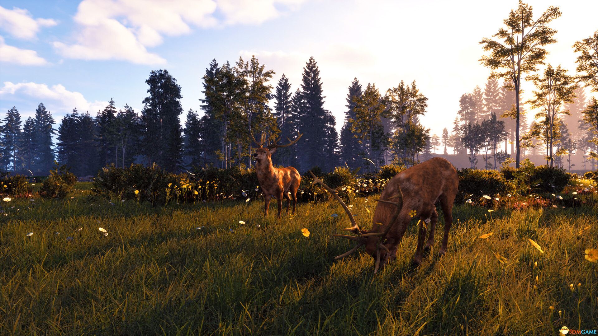 《风暴：深厚友谊的开始 重制版（Windstorm: Start of Great Friendship）》TENOKE镜像版[CN/EN]-4.jpg