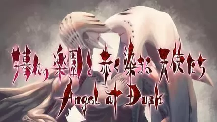 switch《黄昏的天使(Angel at Dusk)》美版中文下载+2.07补丁-1.jpg