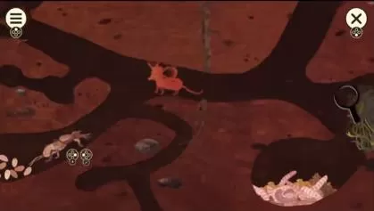 switch《小老鼠的百科全书(Little Mouse's E)》[NSZ]美版中文下载【含1.0.4补丁+3DLC】-3.jpg