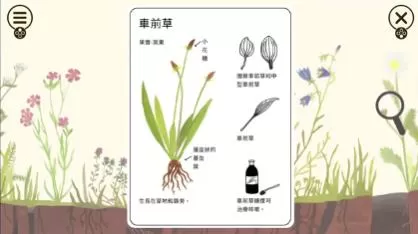 switch《小老鼠的百科全书(Little Mouse's E)》[NSZ]美版中文下载【含1.0.4补丁+3DLC】-6.jpg