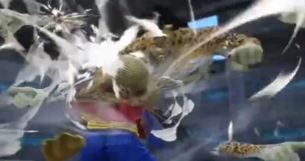 switch《海贼王时光旅诗/ ONE PIECE 时光旅诗 One Piece Odyssey》[魔改整合XCI]官方中文本体下载【含2DLC】-5.jpg