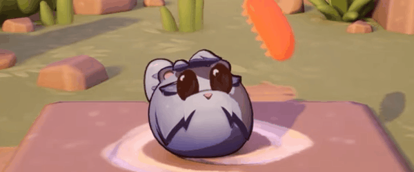 switch《小生物咖啡馆(Critter Cafe)》[NSZ]美版中文【含1.1.1补丁】-4.gif