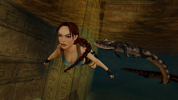 switch《古墓丽影 4-6 复刻版(Tomb Raider IV-VI Remastered)》[NSZ]中文版-4.jpg