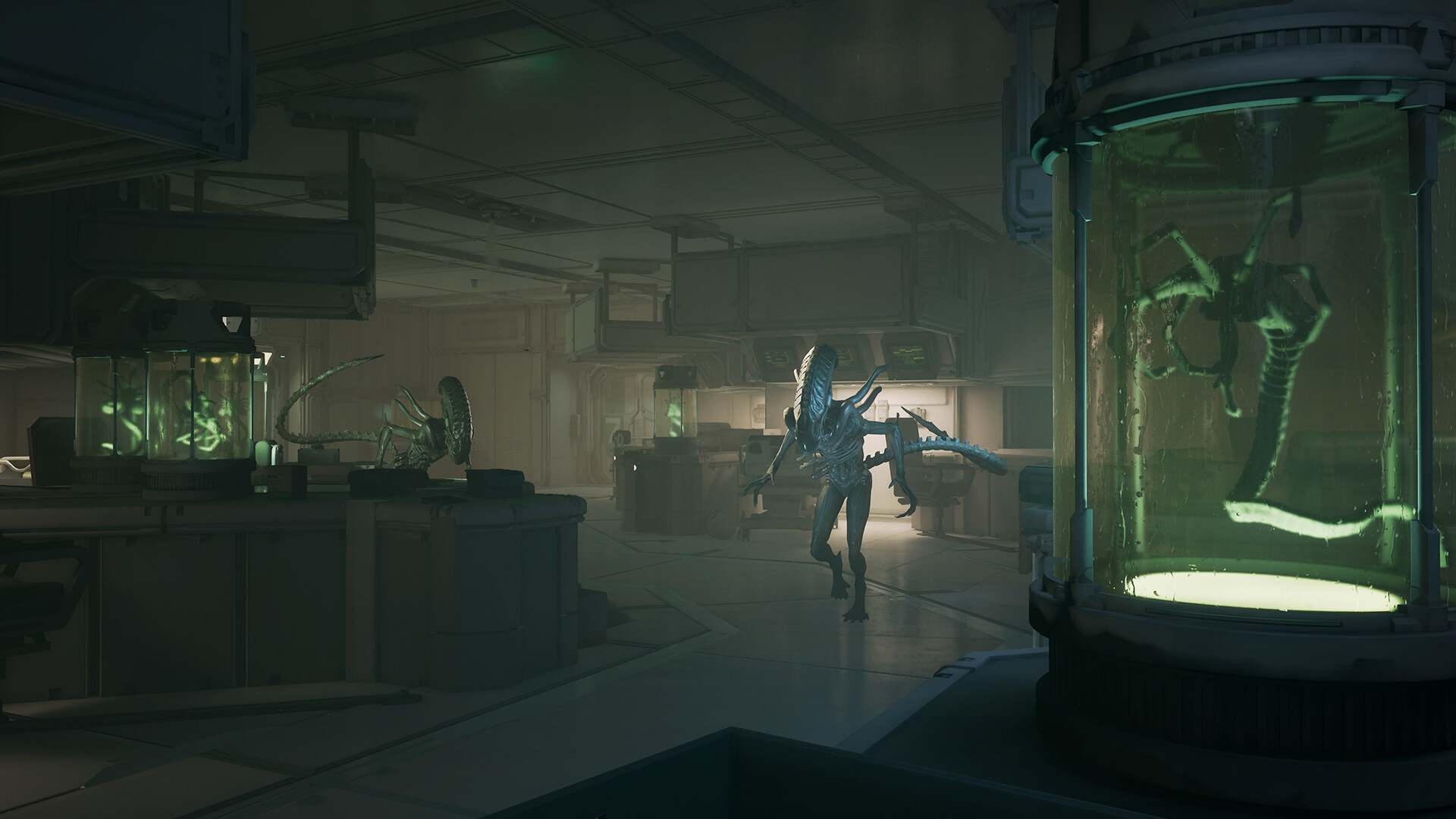 异形 盗贼入侵进化豪华中文21125975全DLC解压即撸百度+夸克-9.jpg