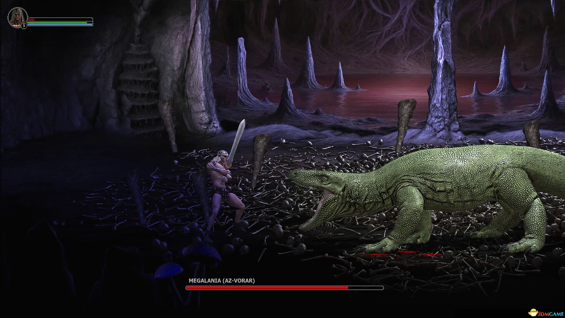 《野蛮人时代编年史（Age of Barbarians Chronicles）》P2P硬盘版-4.jpg