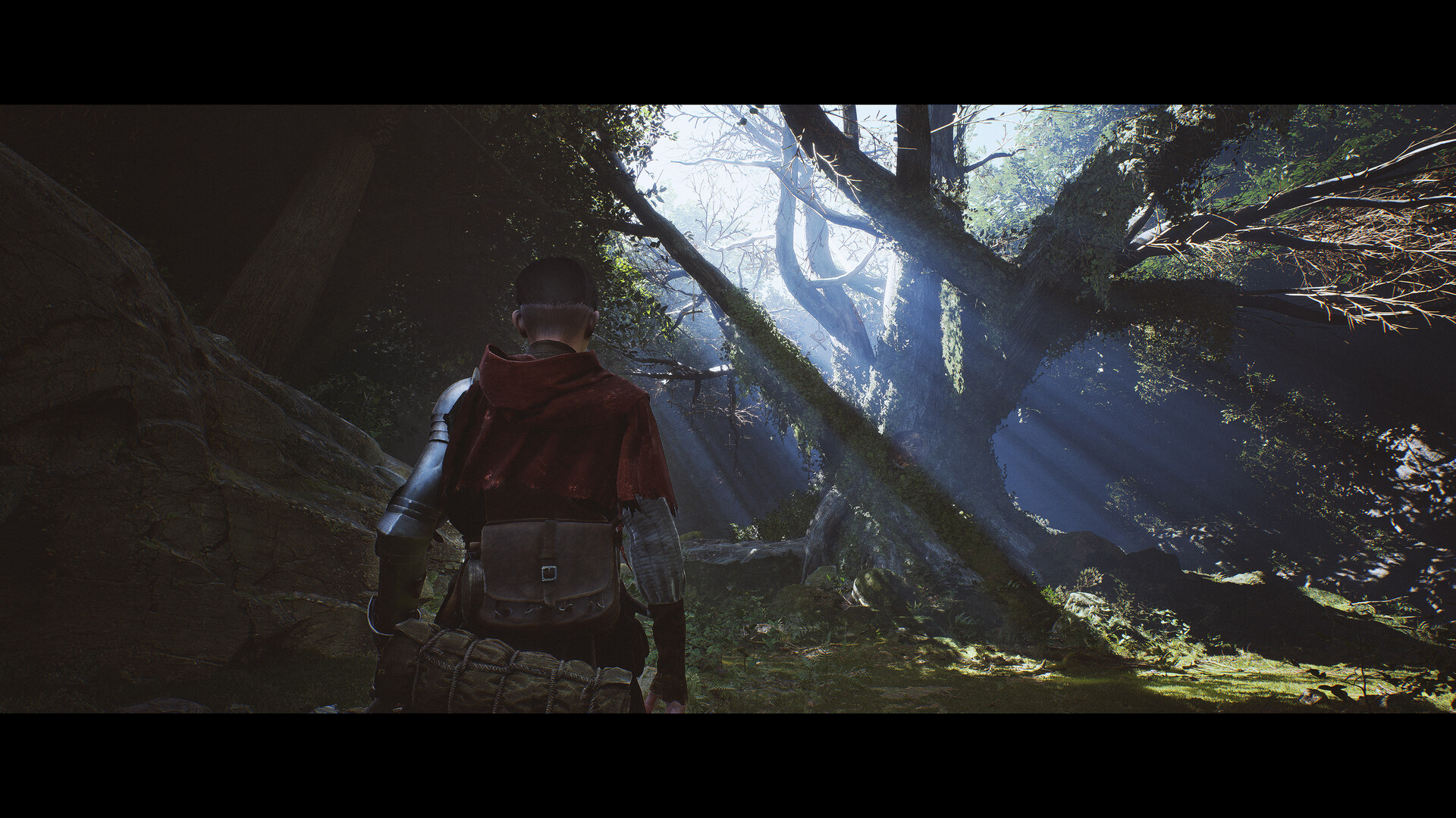 1348：圣誓 Build.22299945 免安装中文版百度夸克-6.jpg