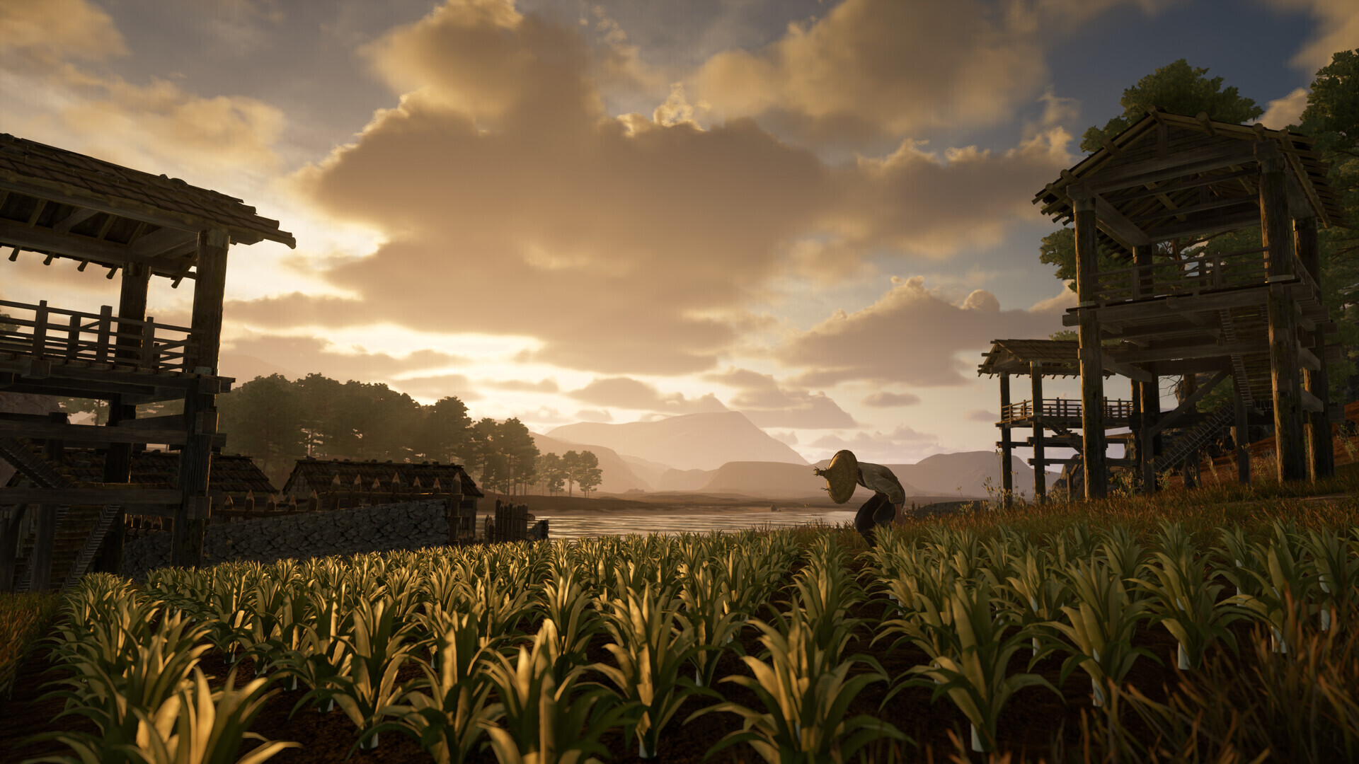 战国王朝|官方中文|Build.22313153 重大更新 群岛+全DLC-9.jpg