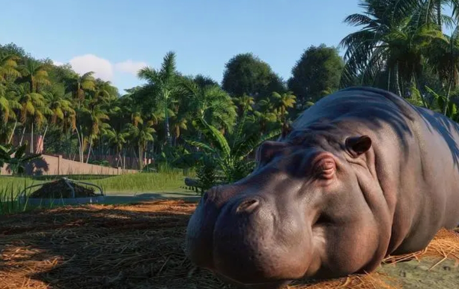 动物园之星 虚拟机版 中文版 v1.20.1 Build.19133017-2.jpg